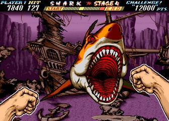 image de The First Funky Fighter